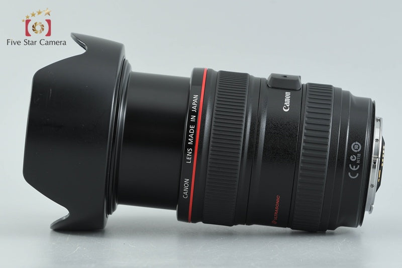 Canon EF 24-105mm f/4 L IS USM