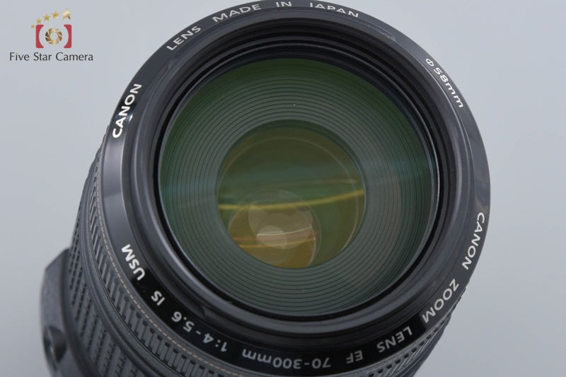 Canon EF 70-300mm f/4-5.6 IS USM