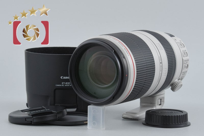 Canon EF 100-400mm f/4.5-5.6 L IS II USM