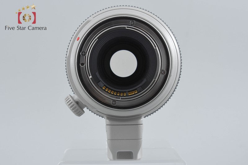 Canon EF 100-400mm f/4.5-5.6 L IS II USM
