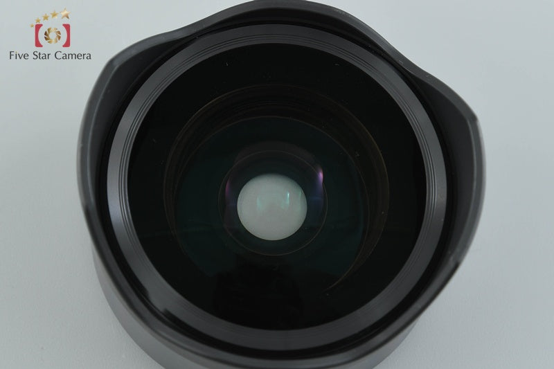 SONY E 16mm f/2.8 SEL16F28 + VCL-ECF1 Fisheye Converter