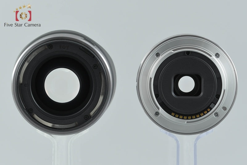 SONY E 16mm f/2.8 SEL16F28 + VCL-ECF1 Fisheye Converter