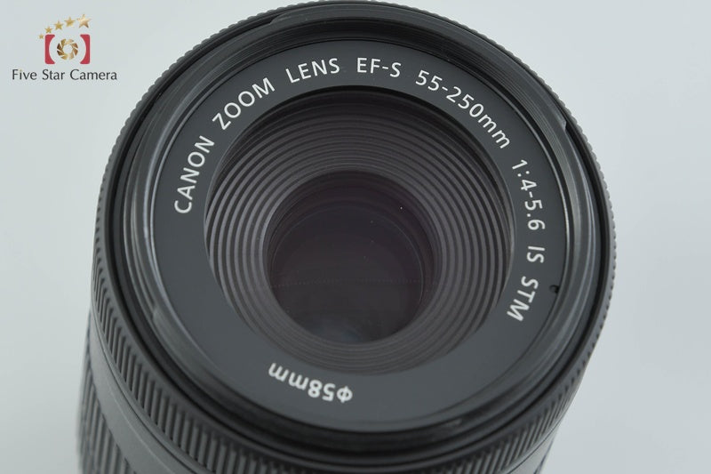 Canon EF-S 55-250mm f/4-5.6 IS STM