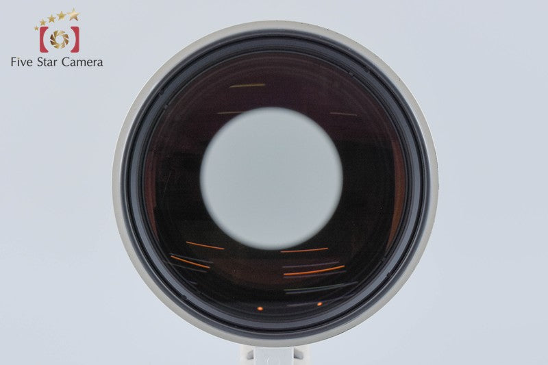 Canon EF 600mm f/4 IS USM w/ Case