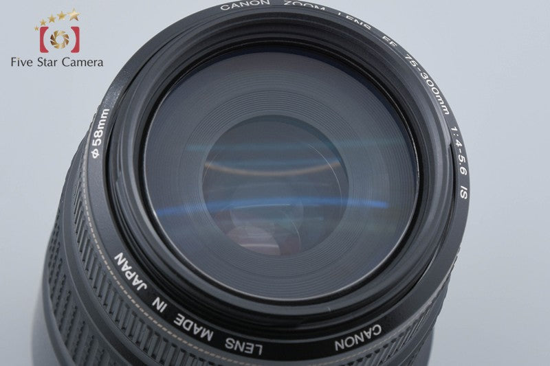 Canon EF 75-300mm f/4-5.6 IS USM