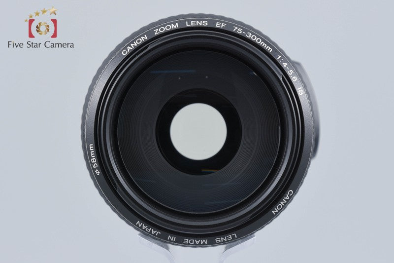 Canon EF 75-300mm f/4-5.6 IS USM