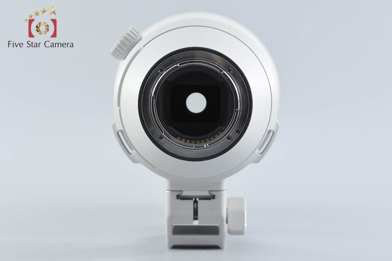 Sony FE 200-600mm f/5.6-6.3 G OSS SEL200600G