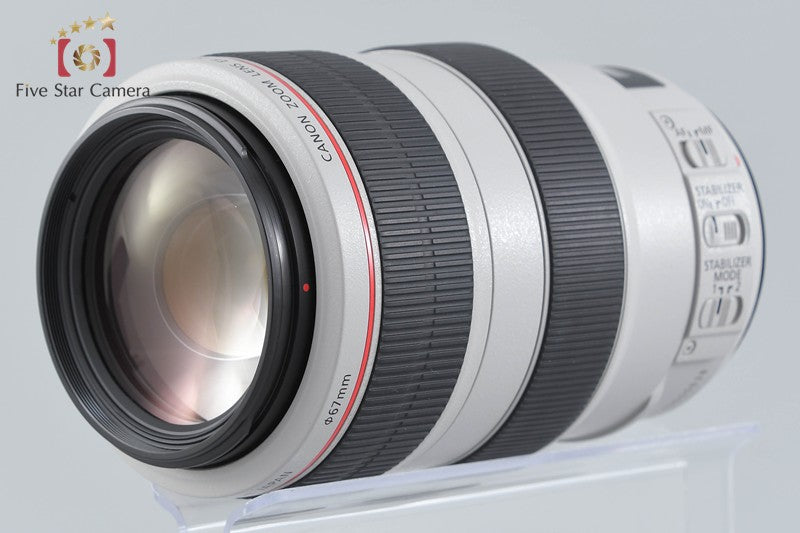Canon EF 70-300mm f/4-5.6 L IS USM