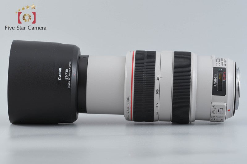 Canon EF 70-300mm f/4-5.6 L IS USM