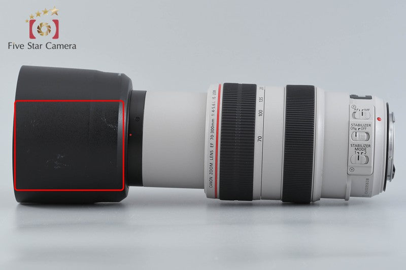 Canon EF 70-300mm f/4-5.6 L IS USM