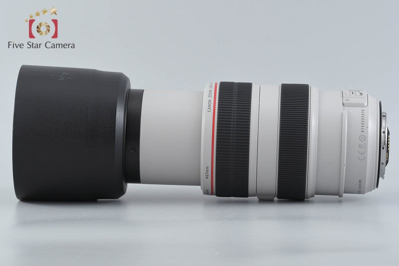 Canon EF 70-300mm f/4-5.6 L IS USM