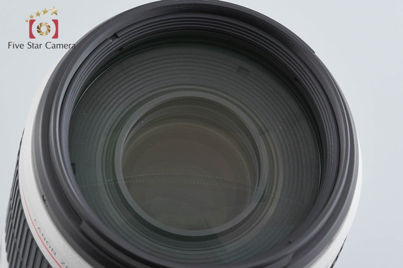 Canon EF 100-400mm f/4.5-5.6 L IS II USM