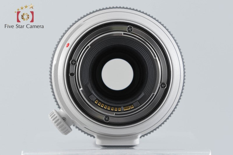 Canon EF 100-400mm f/4.5-5.6 L IS II USM