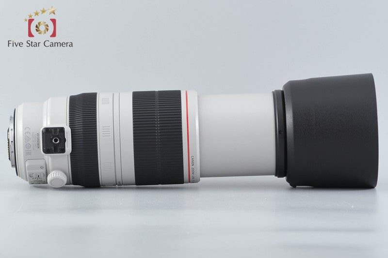 Canon EF 100-400mm f/4.5-5.6 L IS II USM
