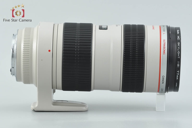 Canon EF 70-200mm f/2.8 L USM