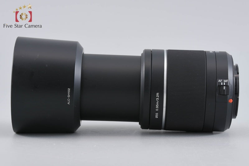 Sony DT 55-200mm f/4-5.6 SAM SAL55200-2