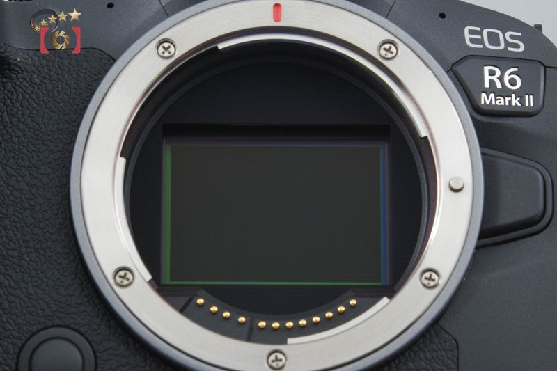 "Count 1,000" Canon EOS R6 Mark II 24.2 MP Mirrorless Digital Camera Body