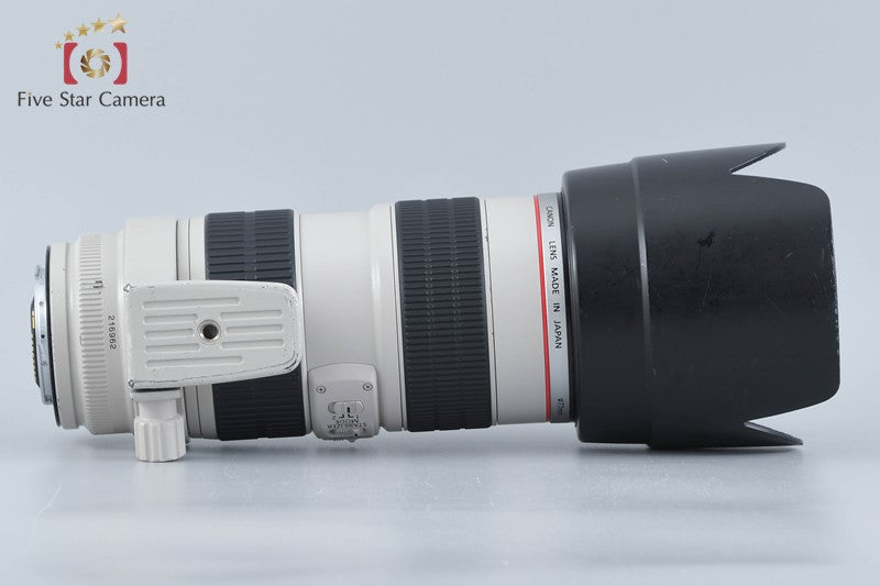 Canon EF 70-200mm f/2.8 L IS USM
