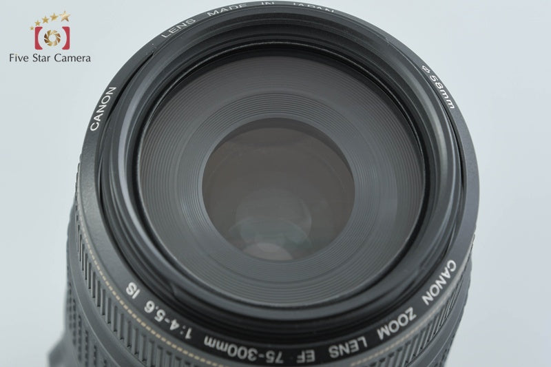 Canon EF 75-300mm f/4-5.6 IS USM
