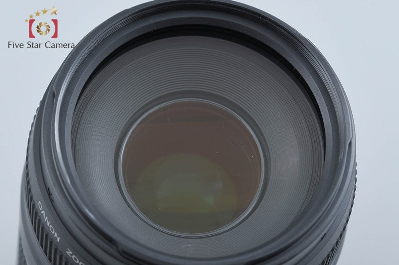 Canon EF 75-300mm f/4-5.6 III