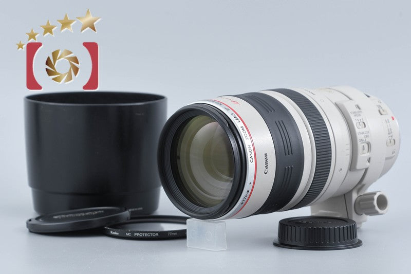 Canon EF 100-400mm f/4.5-5.6 L IS USM
