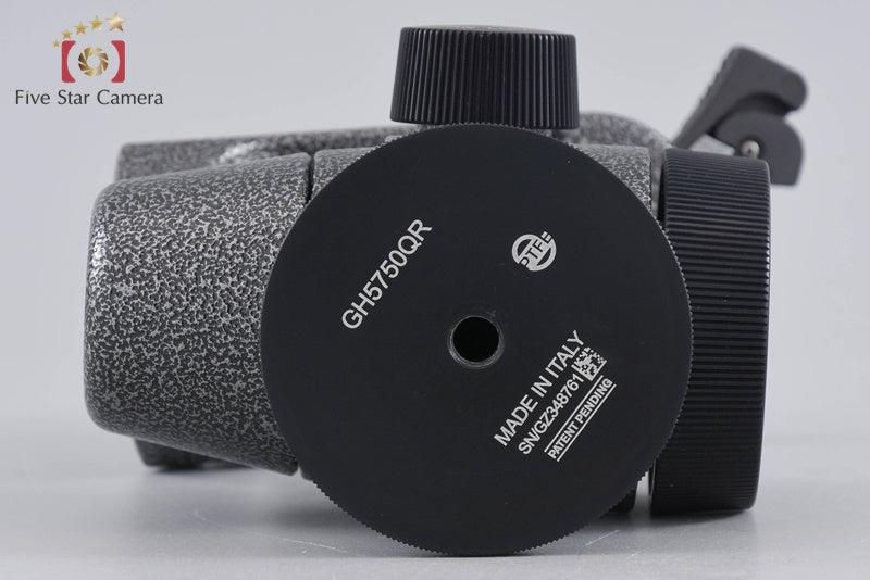 Gitzo GH5750QR Center Ball Head