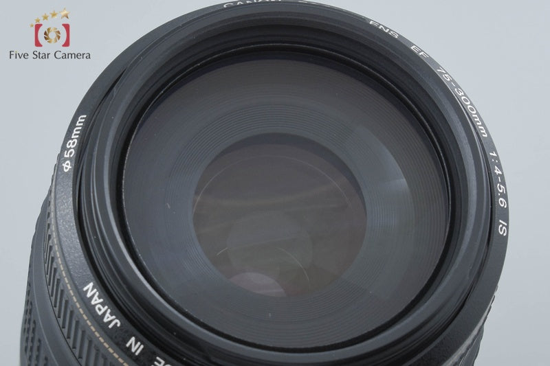 Canon EF 75-300mm f/4-5.6 IS USM