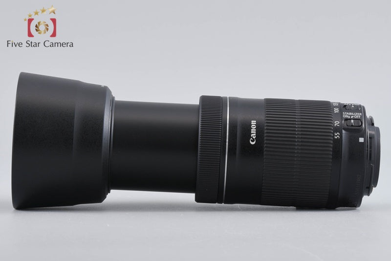 Canon EF-S 55-250mm f/4-5.6 IS STM from Japan