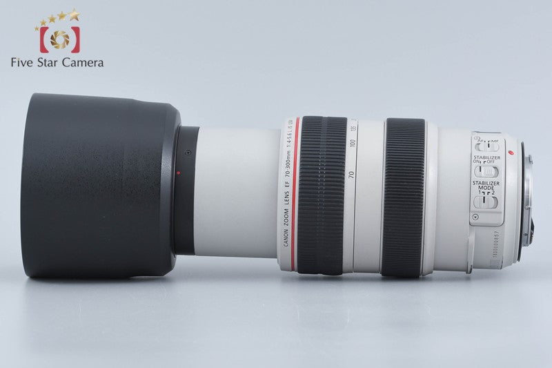 Canon EF 70-300mm f/4-5.6 L IS USM