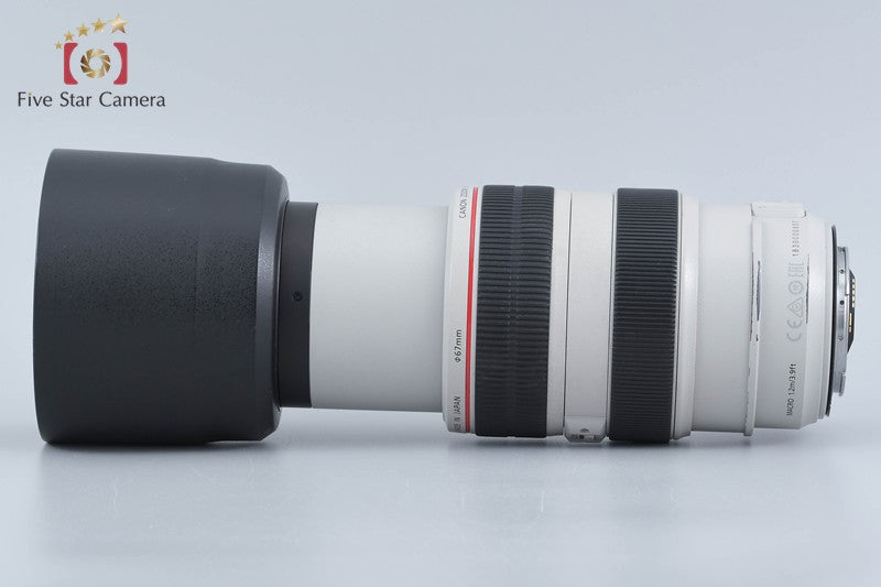 Canon EF 70-300mm f/4-5.6 L IS USM