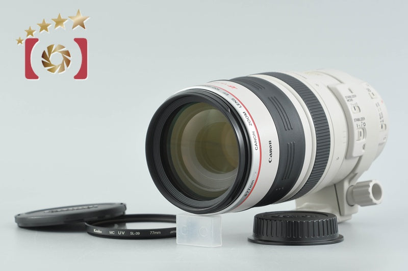 Canon EF 100-400mm f/4.5-5.6 L IS USM