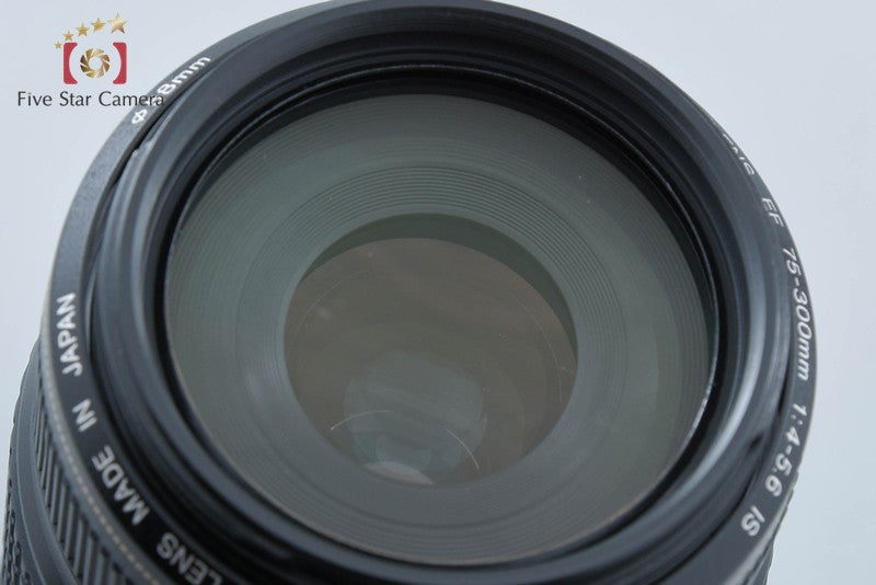 Canon EF 75-300mm f/4-5.6 IS USM