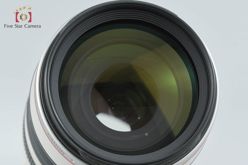 Canon EF 100-400mm f/4.5-5.6 L IS USM