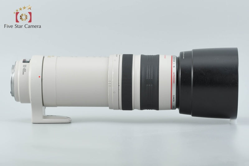 Canon EF 100-400mm f/4.5-5.6 L IS USM