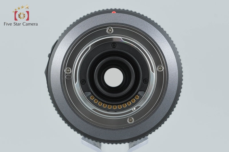 Panasonic LUMIX G VARIO 100-300mm f/4-5.6 MEGA O.I.S. H-FS100300