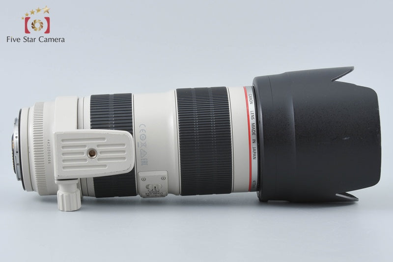 Canon EF 70-200mm f/2.8 L IS II USM