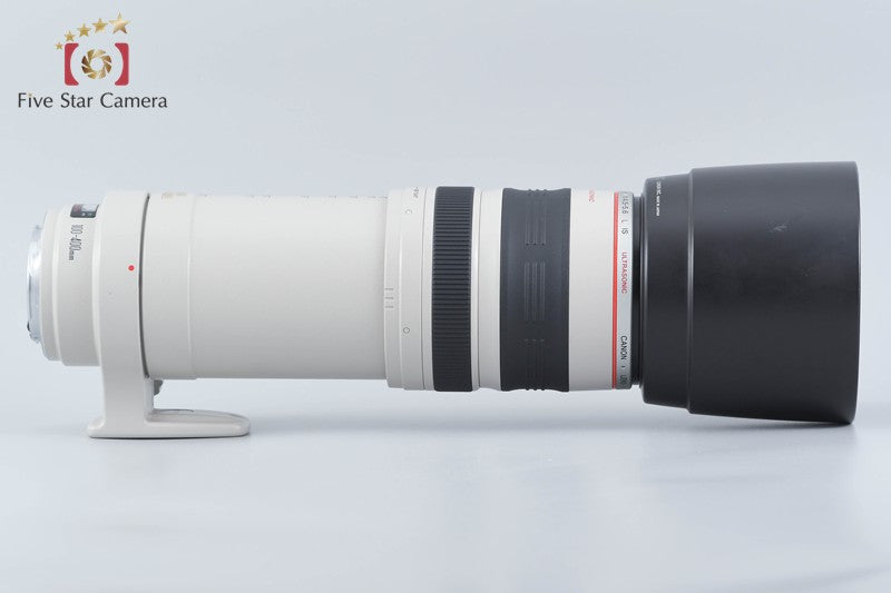 Canon EF 100-400mm f/4.5-5.6 L IS USM