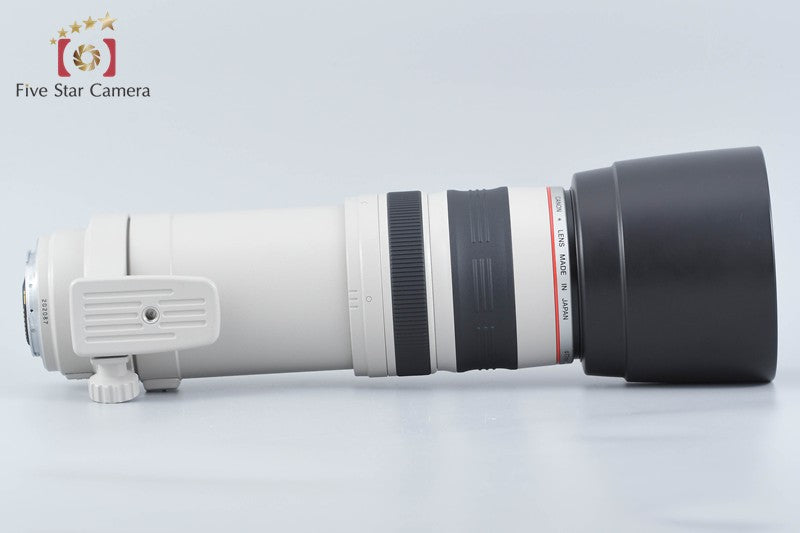 Canon EF 100-400mm f/4.5-5.6 L IS USM