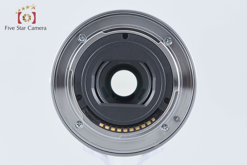 SONY E 18-55mm f/3.5-5.6 OSS SEL1855 Silver from Japan