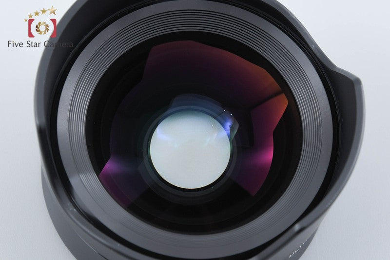 SONY E 16mm f/2.8 SEL16F28 + VCL-ECU2 Ultra Wide Converter from Japan