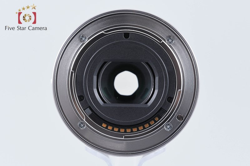 SONY E 18-55mm f/3.5-5.6 OSS SEL1855 Silver from Japan