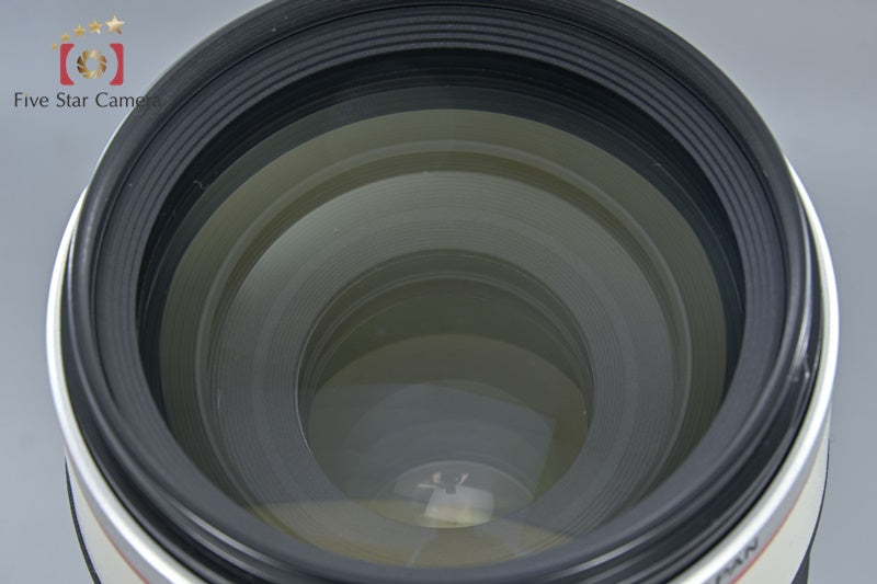 Canon EF 100-400mm f/4.5-5.6 L IS USM