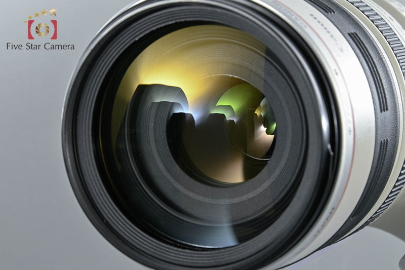 Canon EF 100-400mm f/4.5-5.6 L IS USM