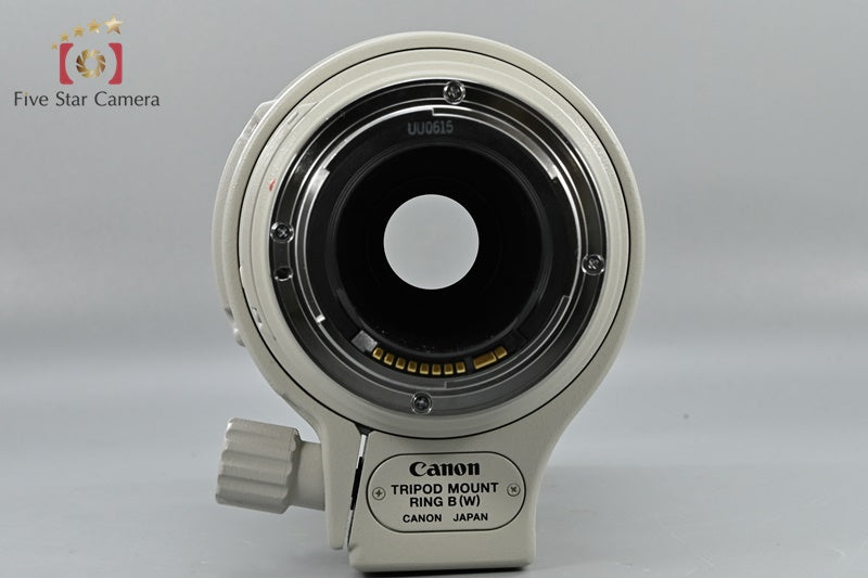 Canon EF 100-400mm f/4.5-5.6 L IS USM