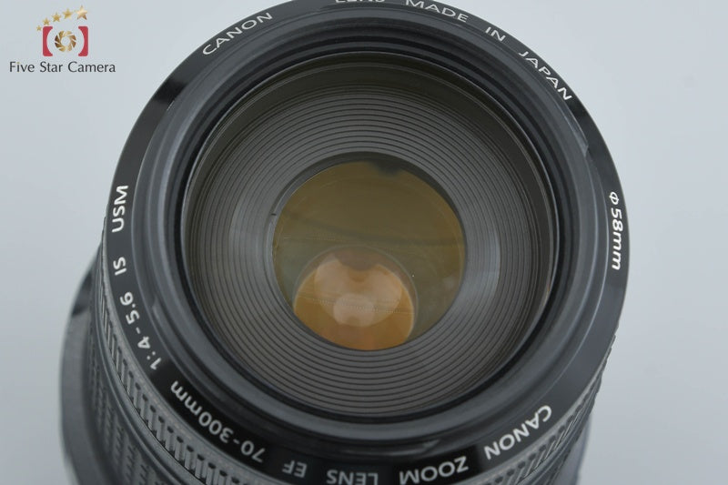 Canon EF 70-300mm f/4-5.6 IS USM