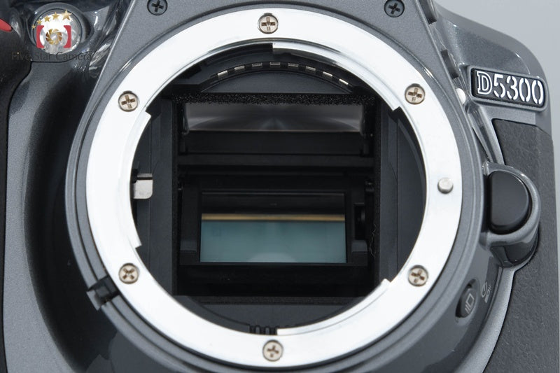 "Count 336" Nikon D5300 Gray 24.2 MP DSLR Camera AF-S DX 18-105 G ED VR Lens