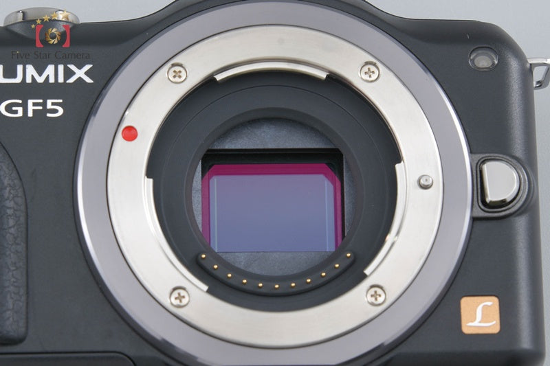 Panasonic DMC-GF5X 14-42mm Electric Zoom Lens Kit (Japanese Language Only)