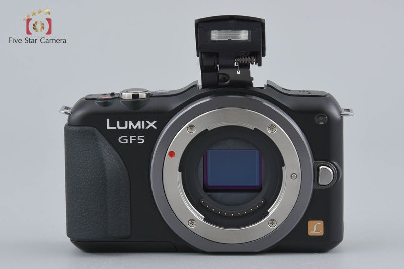 Panasonic DMC-GF5X 14-42mm Electric Zoom Lens Kit (Japanese Language Only)