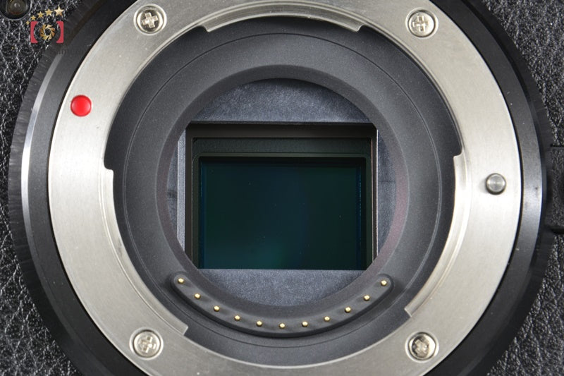 Panasonic LUMIX DLUMIX DC-GX7 Mark III Black 20.3 MP Digital Mirrorless Camera