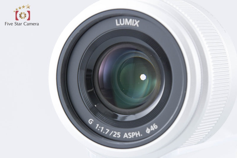Panasonic LUMIX G DC-GF9W Silver Double Lens Kit (Japanese Language Only)